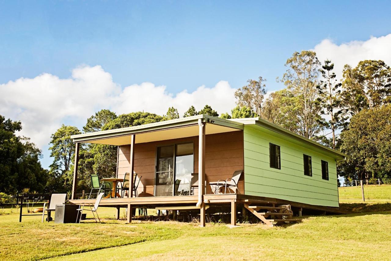 Pinbarren Green Lodges Noosa Extérieur photo